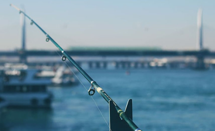 腾博会集团中国官网-诚信为本,专业服务!